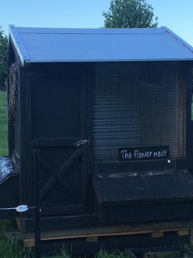 شقة Te Puna  في The Flower Nest Retreat المظهر الخارجي الصورة